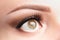 Eye with long eyelashes, beautiful makeup and light brown eyebrow close-up. Eyelash lamination, microblading, tattoo, permanent,