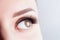 Eye with long eyelashes, beautiful makeup and light brown eyebrow close-up. Eyelashes lamination, microblading, tattoo, permanent