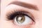 Eye with long eyelashes and light brown eyebrow close-up. Eyelashes lamination, microblading, tattoo, permanent, cosmetology,