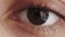 eye macro human eyesight open brown iris blinking