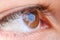Eye macro iris eyebrow beautiful,  vision