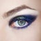 Eye make-up eyebrow lash cosmetic swatch fashion macro photo