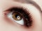 Eye Makeup . Closeup macro shot of fashion eyes visage. Close up of woman eye with beautiful brown with black shades