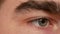 The eye of a man. A large frame of a man`s eye and a thick eyebrow.