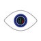 Eye With Market Chart Inside Pupil Icon