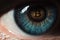 Eye of a person with the bitcoin coin logo in the pupil