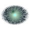 Eye RTG. Animal eye in rentgen photo with blue purple iris, light reflection.