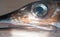 Eye of Striped Marlin - on charter fishing boat in Cabo San Lucas Baja California Mexico