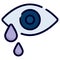 eye tears, drops icon