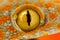 Eye of a Tokay Gecko