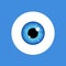 Eye vector look icon. Eyeball vision blue eyesight view symbol ball isolated icon illustration