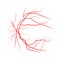 Eye vein system x ray angiography vector design isolated on whit