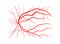 Eye vein system x ray angiography vector design isolated on whit