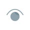 Eye, View, Watch, Twitter  Flat Color Icon. Vector icon banner Template