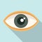 Eye watch icon flat vector. View vision