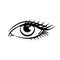 Eye on white background. Woman eye. The eye logo. Eyes art. Human eye, eye close up