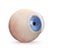Eyeball with contact lens