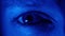 Eyeball Pupils Dilating, Close up of Eye Illuminated with Blue Light in Dark