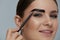 Eyebrow coloring. Woman applying brow tint with makeup brush