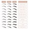 Eyebrow shapes. Various brow types. Vector table with eyebrows and captions.