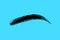 Eyebrow silhouette - flat logo. cosmetology - eyebrow tattoo. beauty services. youth and beauty