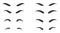 Eyebrows shapes Set. Eyebrow shapes. Various types of eyebrows. Makeup tips. Eyebrow shaping for women.