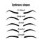 Eyebrows shapes vector set