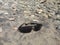 eyeglass lenses on river sand
