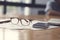 eyeglasses, business document and laptop computer notebook on wooden table