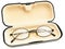 Eyeglasses in eyeglass case