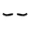 Eyelash. Cute eyelashes. Black lashes. Vector icon