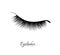Eyelash extension. Beautiful black long eyelashes. Closed eye . False beauty cilia. Mascara natural effect. Professional