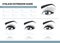 Eyelash extension guide. Direction schemes. Tips and tricks for lash extension. Infographic vector illustration. Template