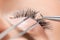 Eyelash extension procedure. Master tweezers sets fake lashes on beautiful woman