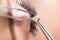 Eyelash extension procedure. Master tweezers sets fake lashes on beautiful woman