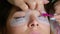 Eyelash Extension Procedure. Woman Eye with Long Eyelashes.