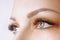 Eyelash Extension Procedure. Woman Eye with Long Eyelashes. Close up, selective focus.