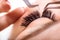 Eyelash Extension Procedure. Woman Eye with Long Eyelashes. Lashes, close up, macro, selective focus.