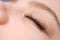 Eyelash Extension Procedure. Woman Eye with Long false Eyelashes. Close up macro shot of fashion eyes visagein in beauty salon