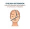 Eyelash extension process illustration. Tweezers. Eye patches, other instruments