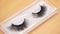 Eyelash extensions and eyebrows. False eyelashes