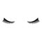 Eyelash icon black color illustration flat style simple image