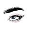 Eyelashes extension . cat eye makeup with Black False eyelashes. Mascara single eyebrow vector design, brow art