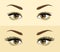 eyelashes extension. . Before and after effect. Beauty open eye with short and long eyelashes Vector illustration.