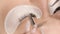 Eyelashes extensions. Fake eyelashes. Eyelash extension procedure.Close up portrait of woman eye with long eyelashes