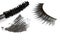 Eyelashes and eye shadow cosmetics abstract