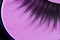 Eyelashes and eye shadow cosmetics abstract