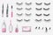 Eyelashes false beauty makeup vector set of isolated beautiful eye-lashes illustration realistic style
