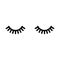 Eyelashes icon isolated