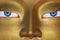 Eyes of a Buddha